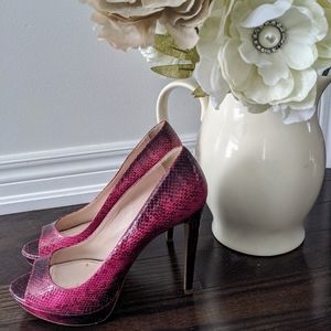 👠 Miu Miu Pumps 🦩